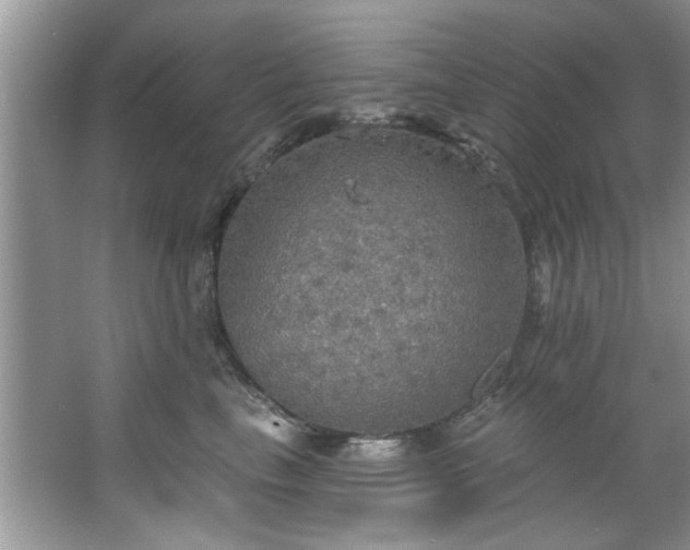 X0000067470665200604071155