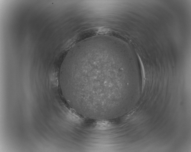 X0000067470666200604071155