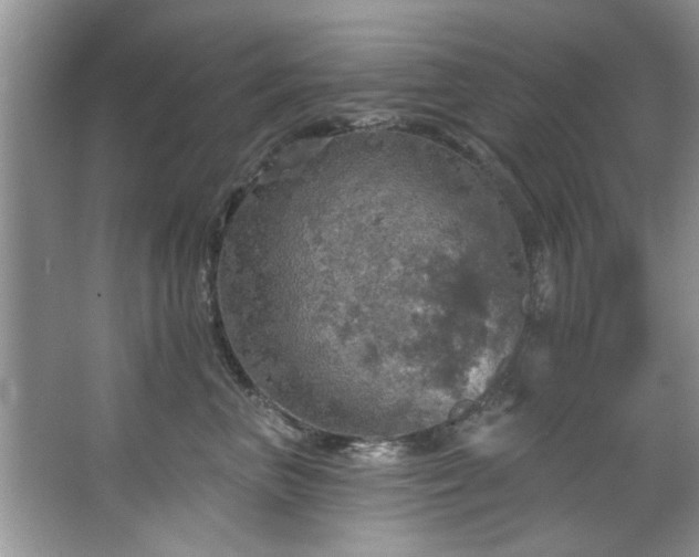 X0000067470667200604071155