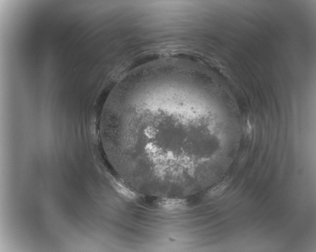 X0000067470670200604071156