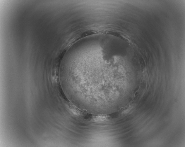 X0000067470671200604071156