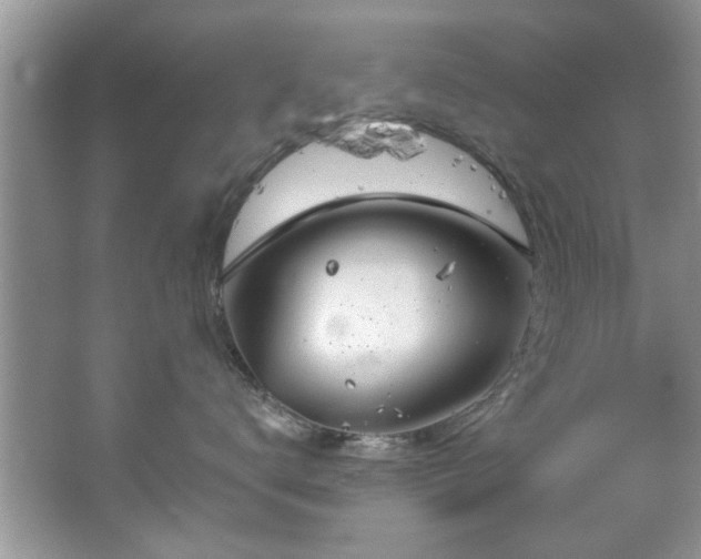 X0000067470672200604071156