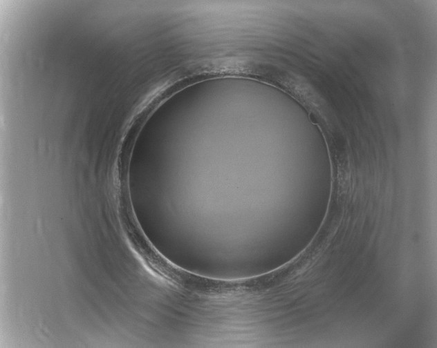 X0000067470674200604071155