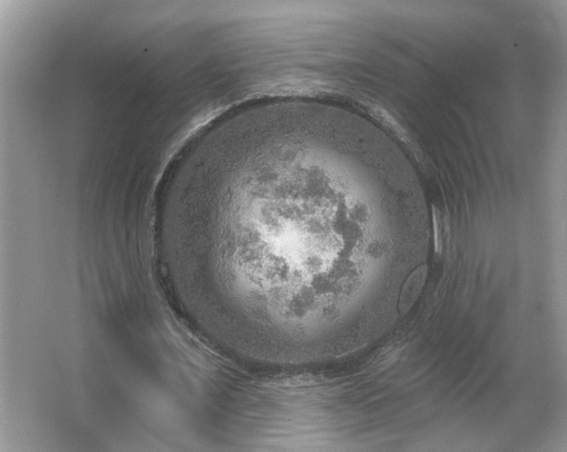 X0000067470675200604071155