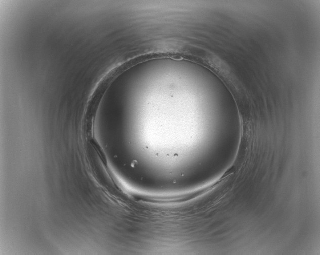 X0000067470676200604071155