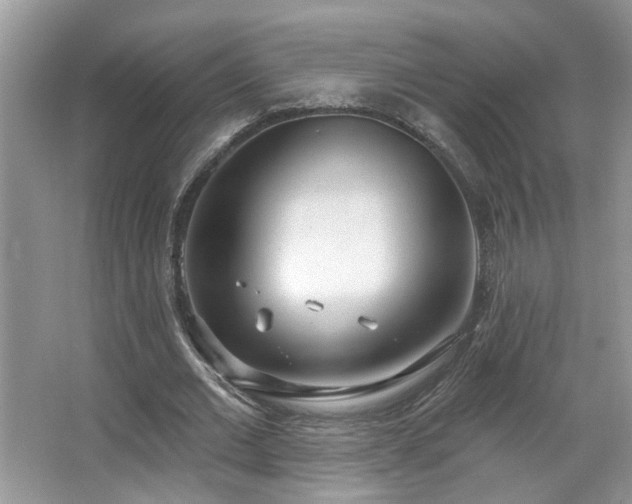 X0000067470677200604071155