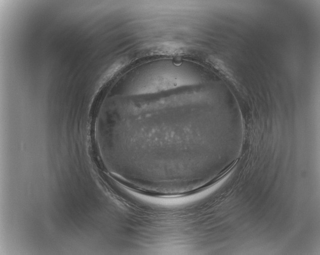 X0000067470679200604071155