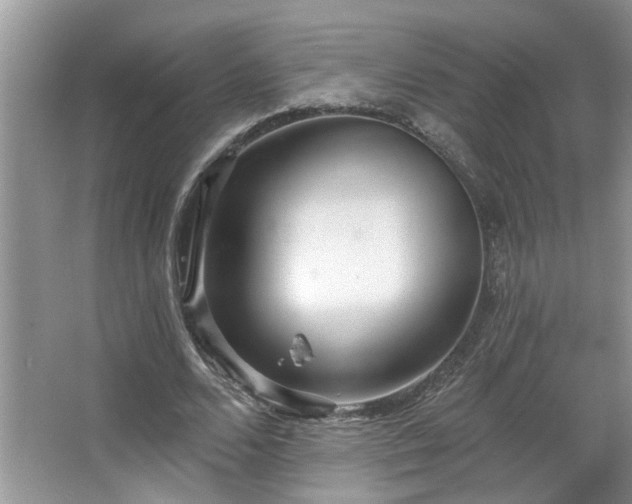 X0000067470680200604071155