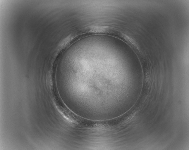 X0000067470682200604071155