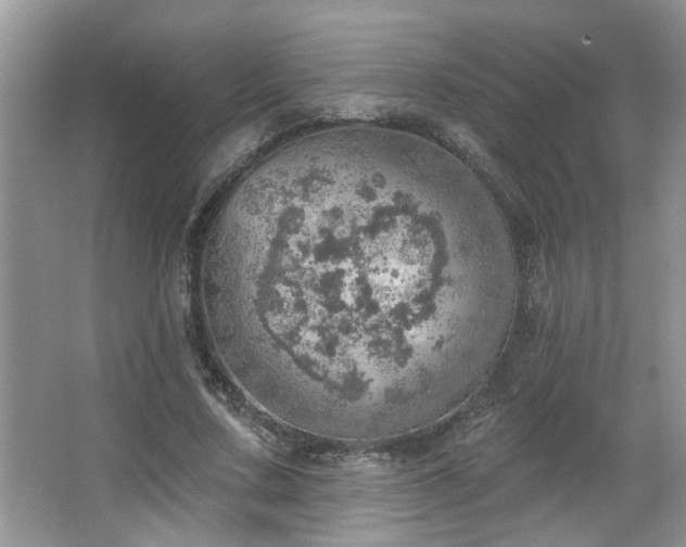 X0000067470683200604071155