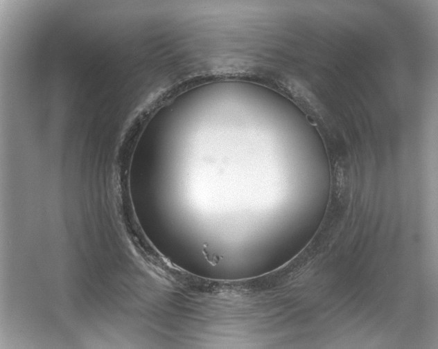 X0000067470684200604071155