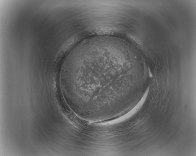 X0000067470687200604071155