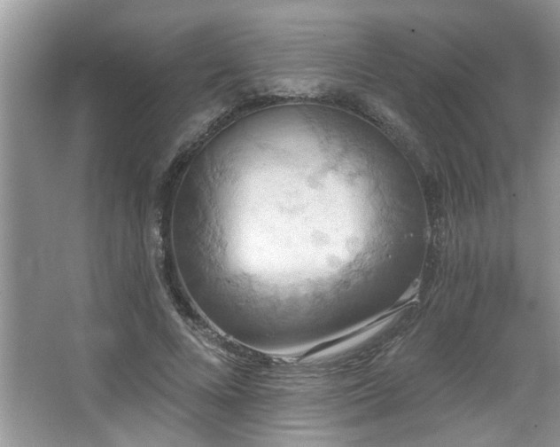 X0000067470688200604071155