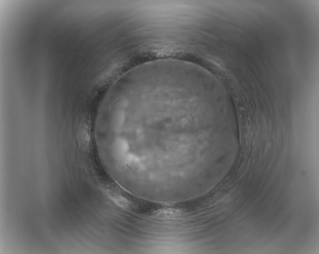 X0000067470691200604071154