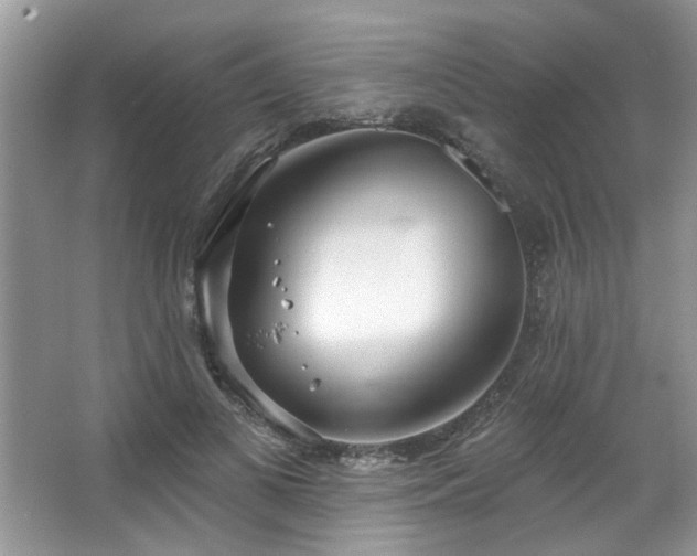 X0000067470693200604071154