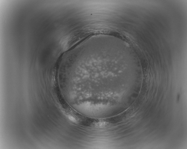 X0000067470695200604071154