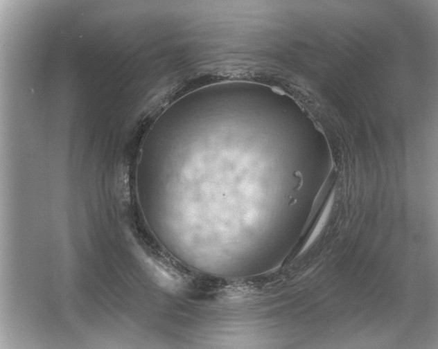 X0000067470696200604071154