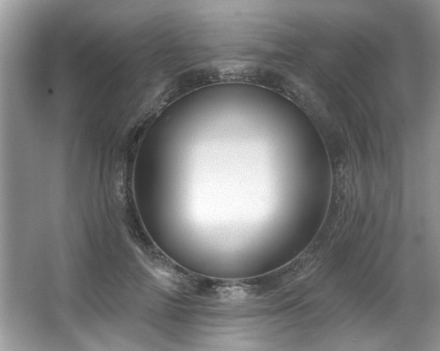 X0000067470698200604071154