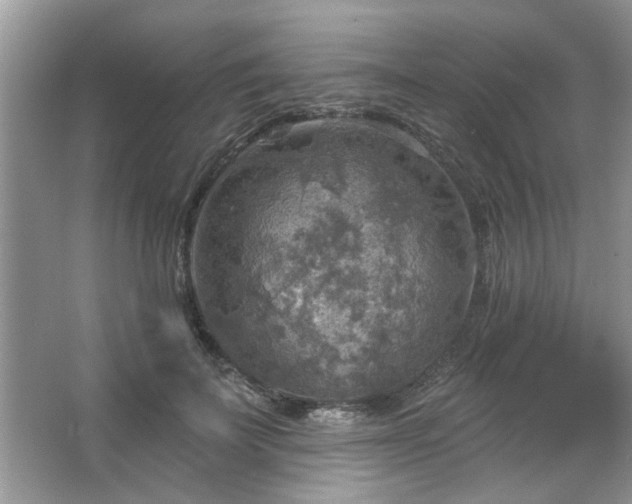 X0000067470699200604071154