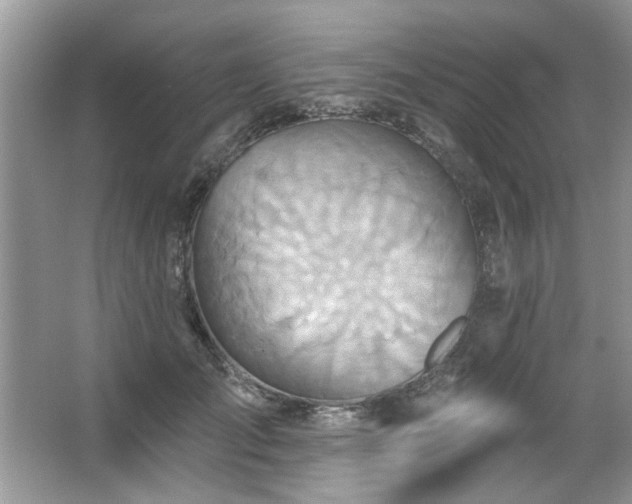 X0000067470701200604071154