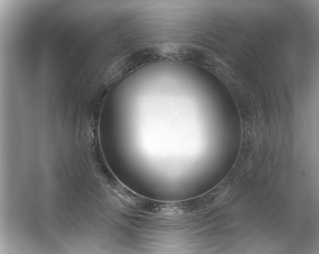 X0000067470702200604071154