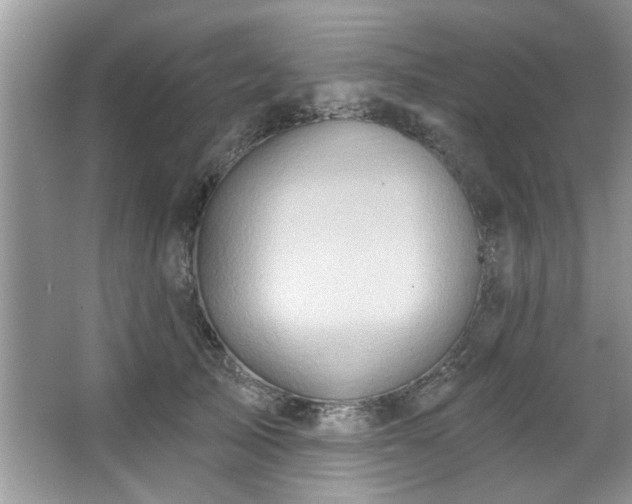 X0000067470705200604071154