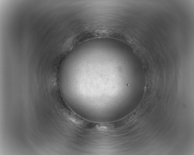 X0000067470706200604071154