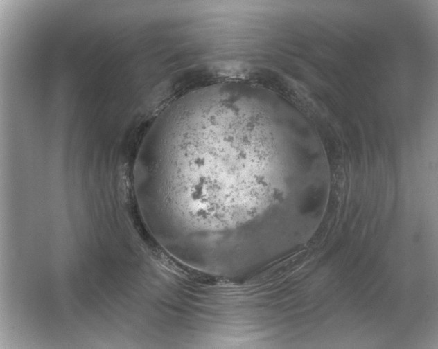 X0000067470707200604071154