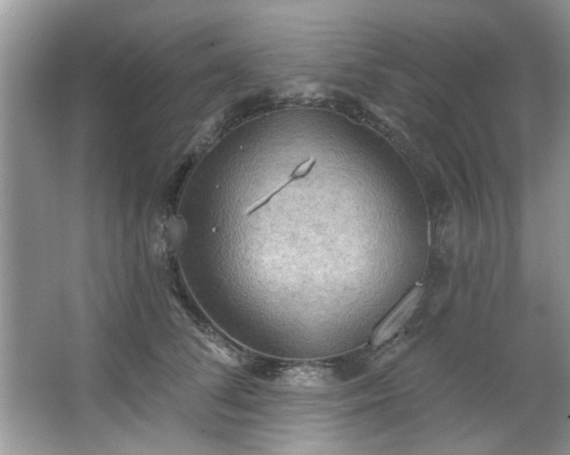 X0000067470708200604071154