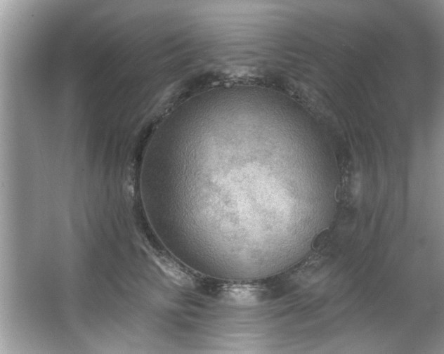 X0000067470710200604071154