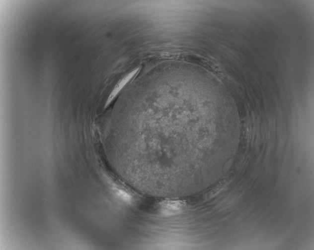 X0000067470711200604071154