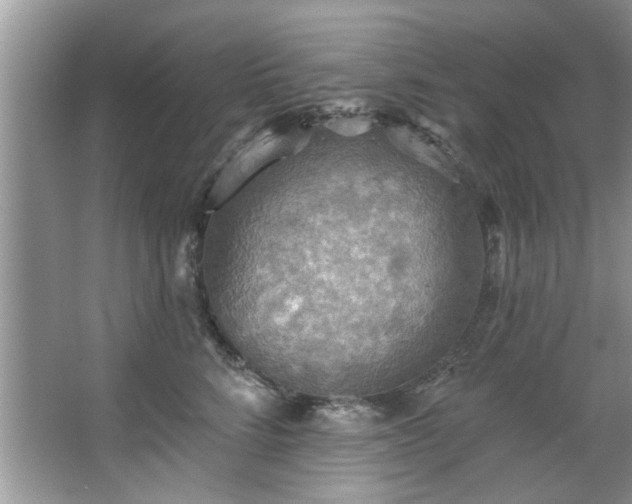 X0000067470712200604071154