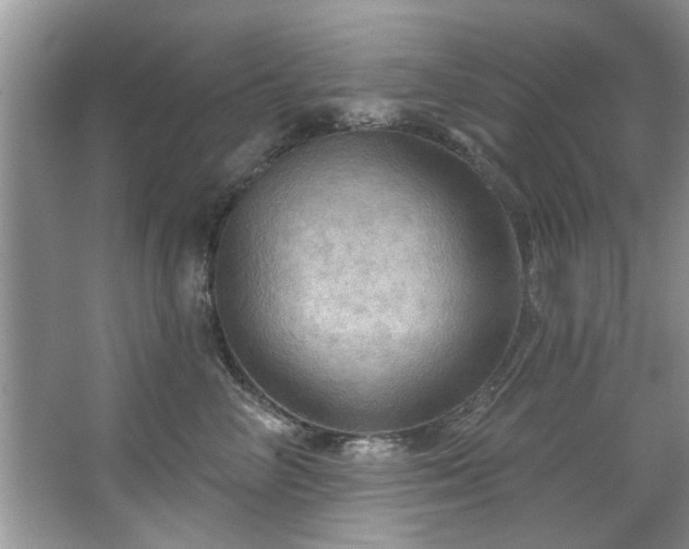 X0000067470714200604071154