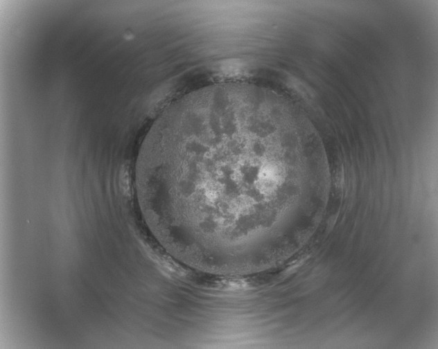 X0000067470715200604071154