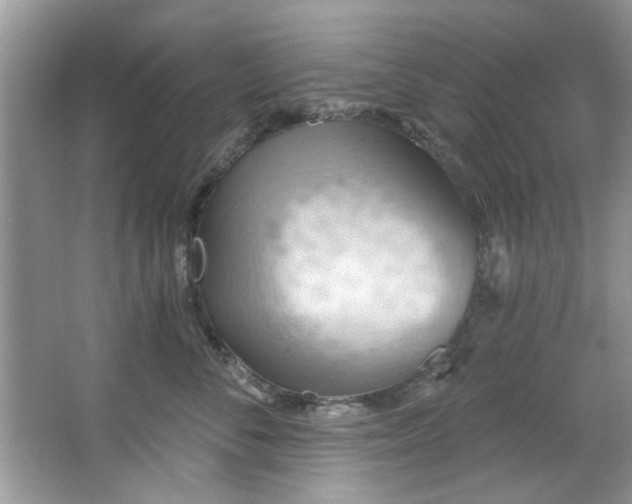 X0000067470716200604071154