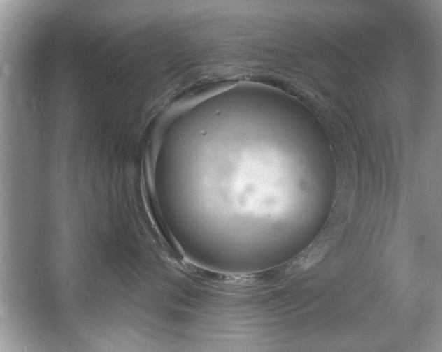 X0000067470720200604071154