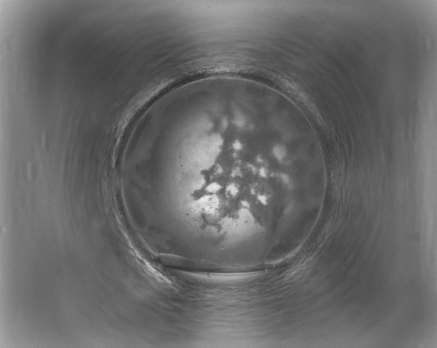 X0000067470721200604071153