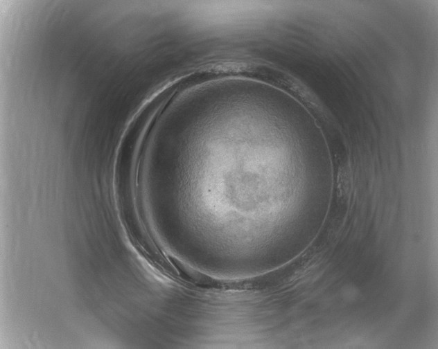 X0000067470722200604071153