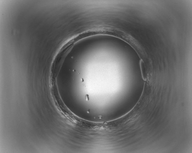 X0000067470724200604071153