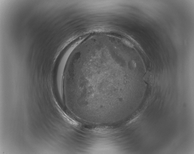 X0000067470725200604071153