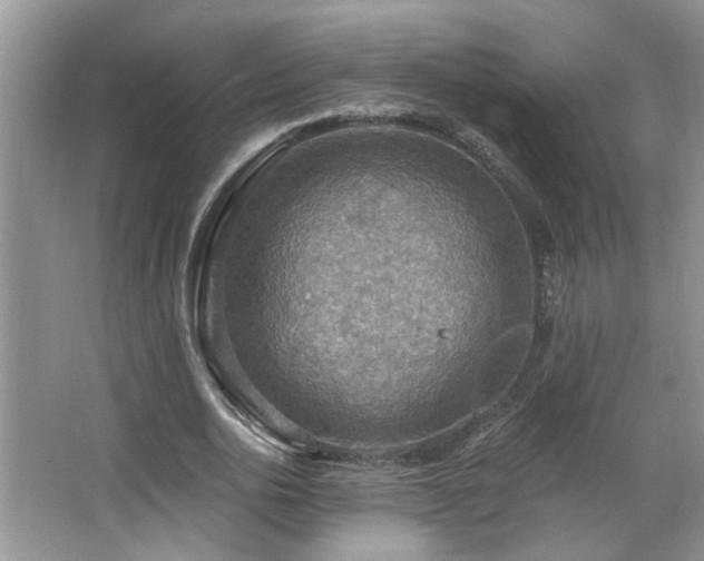 X0000067470726200604071153