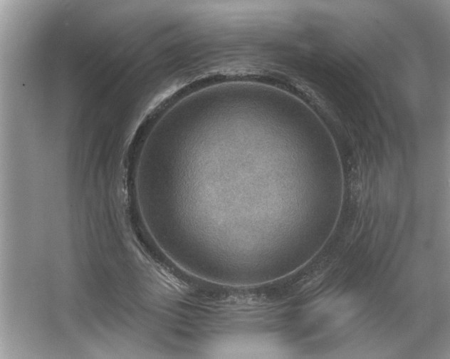 X0000067470727200604071153