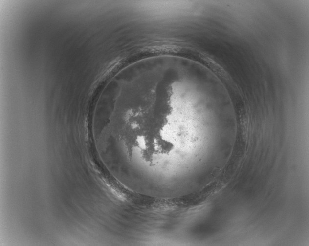 X0000067470729200604071153