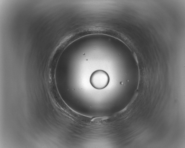 X0000067470731200604071153