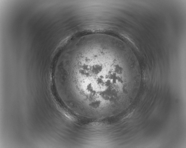 X0000067470733200604071153