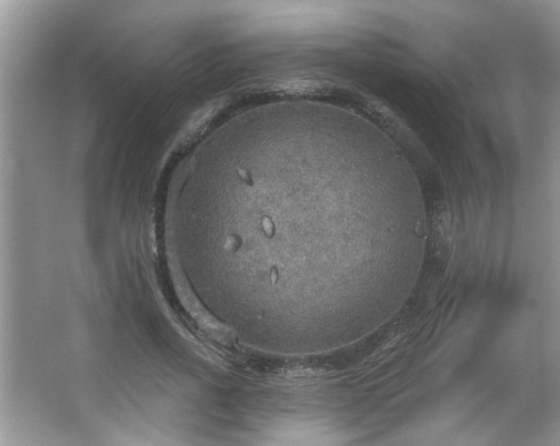 X0000067470734200604071153