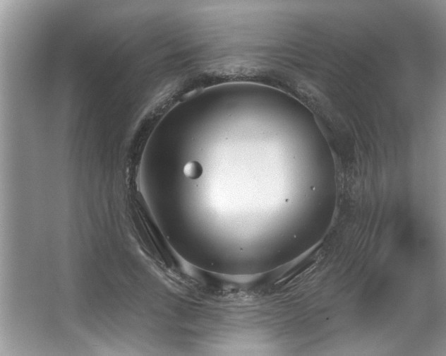 X0000067470735200604071153