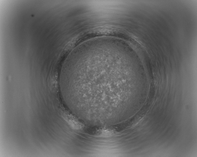 X0000067470737200604071153