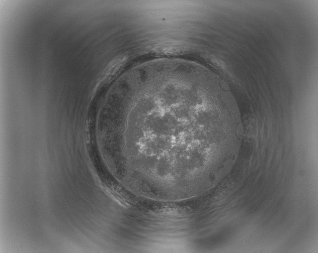 X0000067470738200604071153