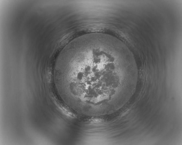 X0000067470741200604071154